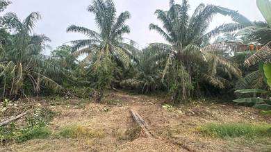 Agricultural Land in Ayer Baloi, JHR