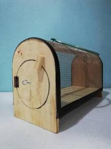 Cricket Cage Sangkar Cengkerik 32.5cmx18cmx13.5cm