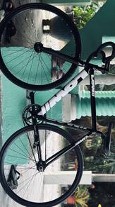 LOW Fixid Gear