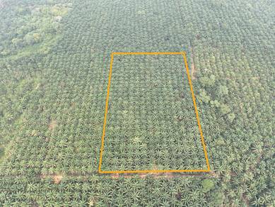 Agricultural Land in Pengerang, JHR