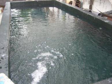 Fish tank (  offer )