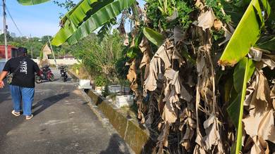 Residential Land in Bayan Lepas, PNG