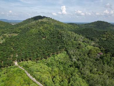 Agricultural Land in Jerantut, PHG