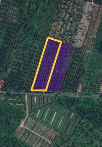 Agricultural Land in Bagan Datoh, PRK