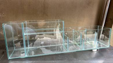 aquarium