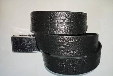 Dragon Design Auto Belt