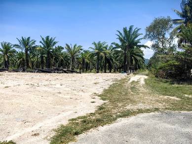 Residential Land in Marang, TRG