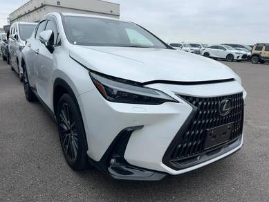 Lexus NX 250 LUXURY in Petaling Jaya, SGR