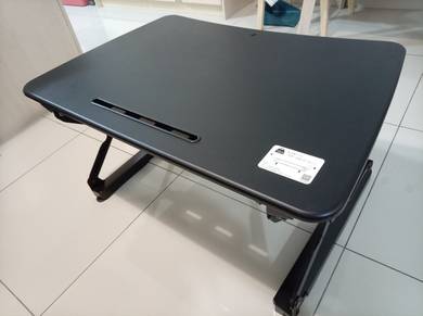 Loctek Standing Desk Workstation (Gas Spring)