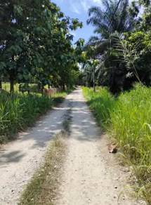 Agricultural Land in Nibong Tebal, PNG