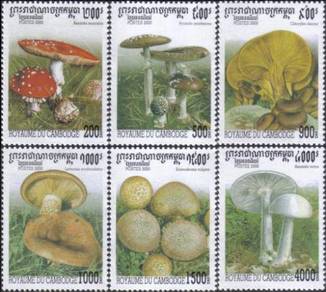 Mushroom Fungus Fungi Flower Cambodia Stamp UM