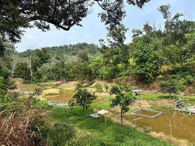 Agricultural Land in Kuala Kubu Baru, SGR