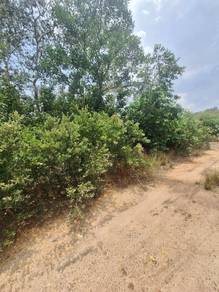 Agricultural Land in Marang, TRG
