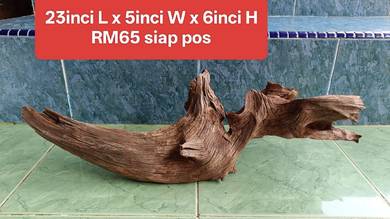 aquarium driftwood solid body licin baek punyO