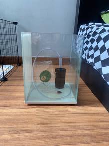 Glass Cube Aquarium + Sponge Filter+ temperature +
