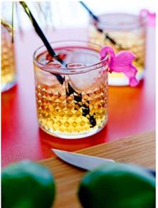 Ikea Frasela Whiskey Glass 30cl