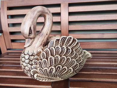 Duck / Itik