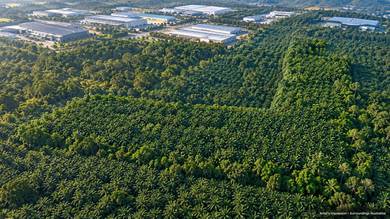 Industrial Land in Sungai Petani, KDH