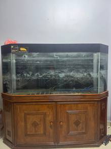 Solid Glass 6ft Aquarium