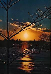 PROMO RM88  Golden Horizon Winter Tree at Sunset