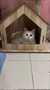 Munchkin