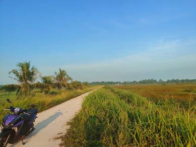 Agricultural Land in Pekan, PHG