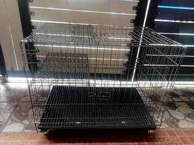 sangkar kucing baru