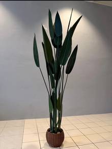 skybird deco