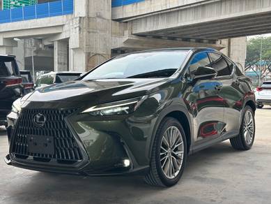 Lexus NX 250 LUXURY in Kayu Ara, SGR