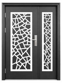 Brand new security door