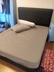 StarryNite Bed Frame