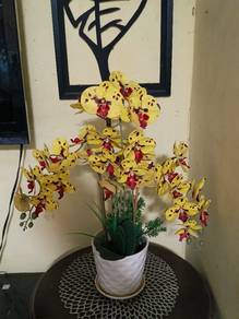 orchid latex, orkid, pasu seramik 