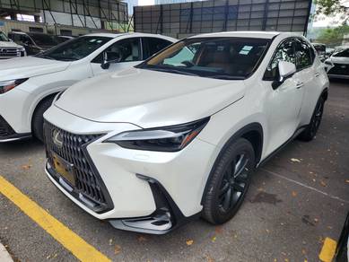 2022 Lexus NX 250 LUXURY