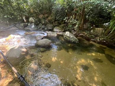 Agricultural Land in Ulu Yam, SGR