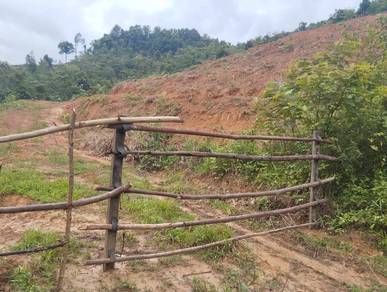Agricultural Land in Pokok Sena, KDH