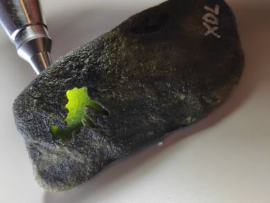 Ice Light Green Jadeite Jade Rough Stone - Type A