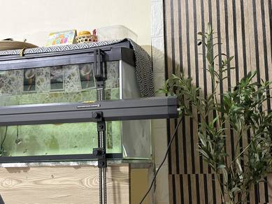 Mayin Atomic 13k (4ft)