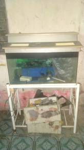Aquarium ikan