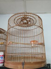 sangkar burung