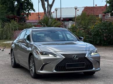 2019 Lexus ES 250 LUXURY