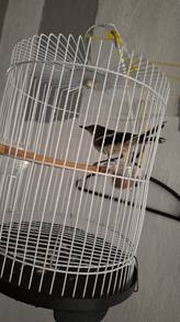 Burung mk