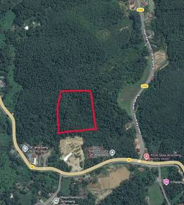 Agricultural Land in Raub, PHG