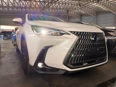 Lexus NX 250 BASE GRADE in Bandar Kinrara, SGR