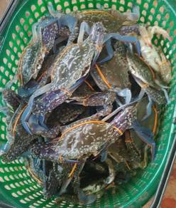 ketam bunga 