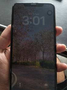 iPhone 11 promax 256gb