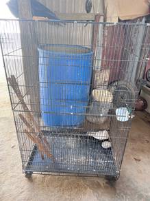 sangkar burung besi tebal besar