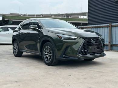 Lexus NX 250 BASE GRADE in Chan Sow Lin, KUL