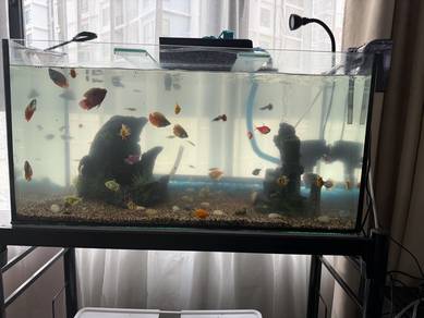 Aquarium