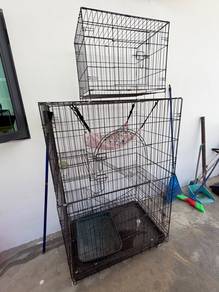 sangkar kucing