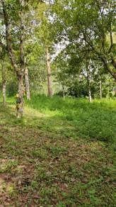 Agricultural Land in Kodiang, KDH
